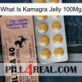 What Is Kamagra Jelly 100Mg 41